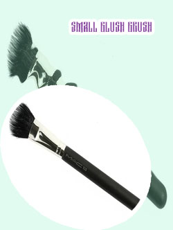 Small blush brush